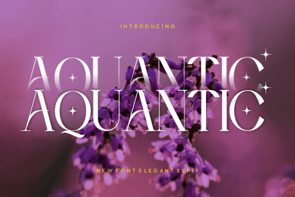 Aquantic: A Stylish Serif Font for Business