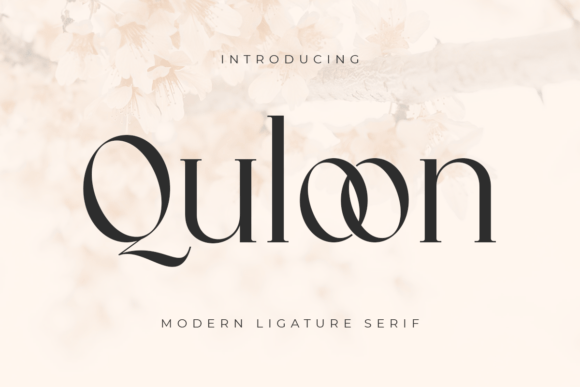 Quloon: A Stylish Serif Font