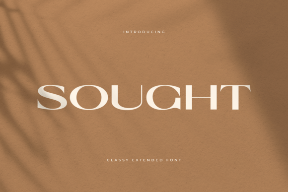 Sought: A Stylish Serif Font